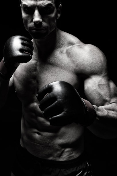 MMA战斗机图片下载