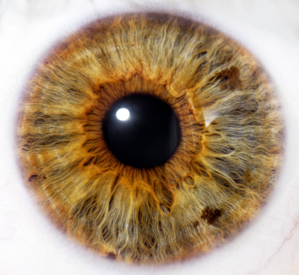 全国爱眼日素材ID：145356646