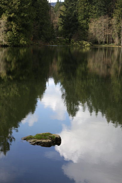 加拿大不列颠哥伦比亚省，林荫湖中的倒影图片下载
