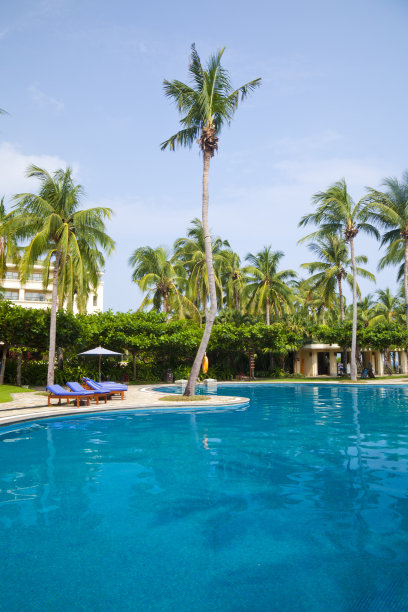 热带游泳池图片下载