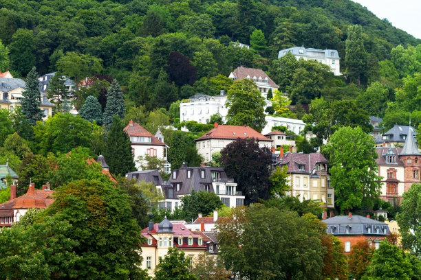 内卡河畔山上的建筑物图片下载
