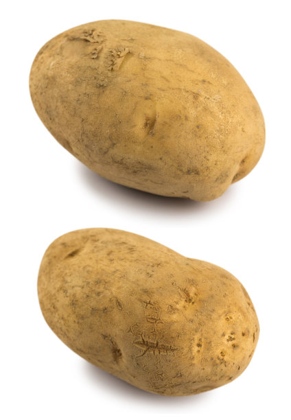 两个成熟的马铃薯孤立在白色背景与修剪路径图片下载