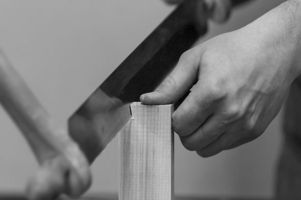 卡彭特图片下载