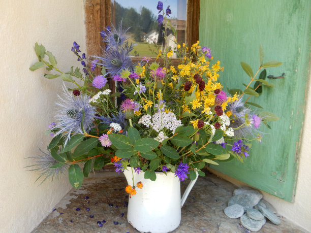 山的花图片下载