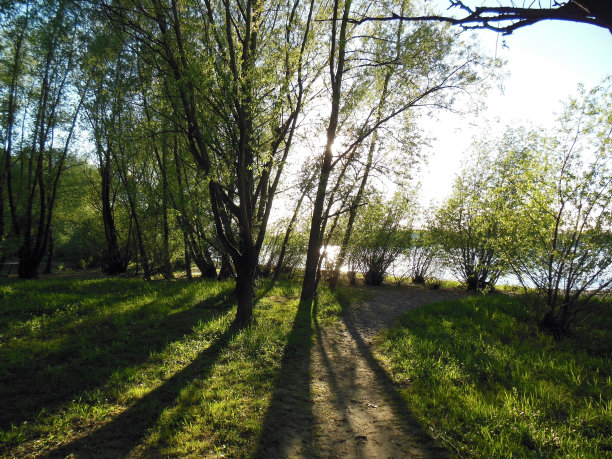 荒野保护区图片下载