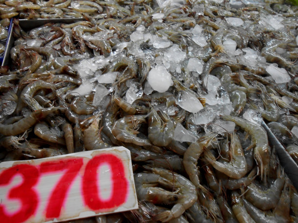 泰国巴东半山市场出售的新鲜对虾图片下载