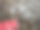 泰国巴东半山市场出售的新鲜对虾图片下载