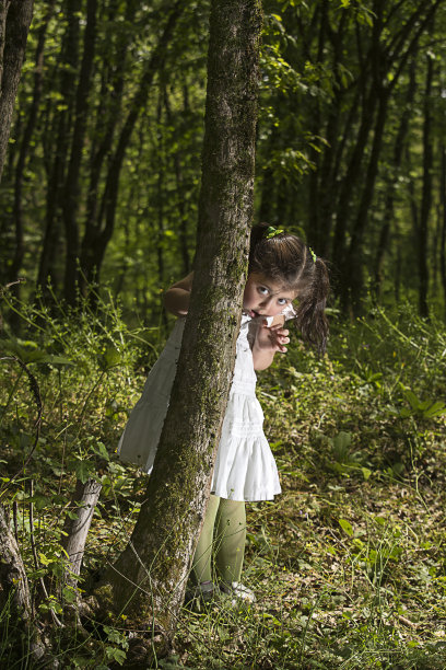 森林里的小女孩图片下载