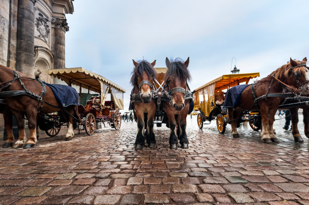 小马出租车图片下载