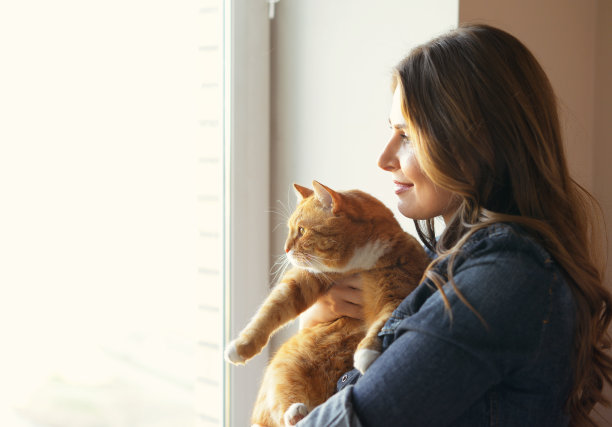 年轻女子在家素材图片
