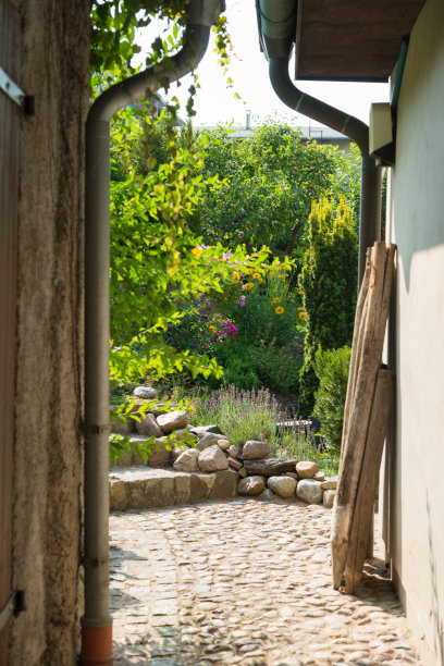 两房之间有一个小后花园图片下载