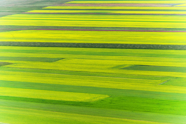 意大利乡村卡斯特卢西奥修道院的大钢琴图片下载