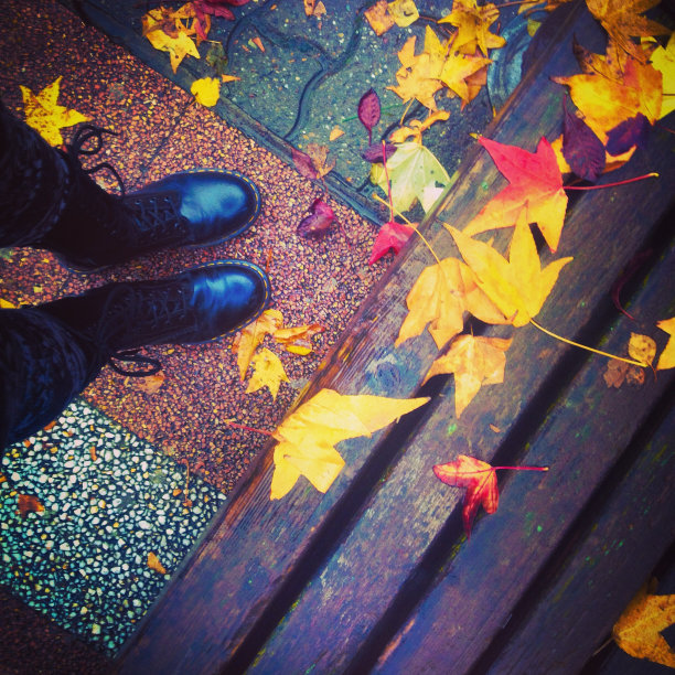 女人的腿走了图片下载