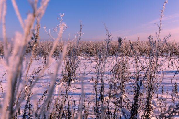 冬天的风景图片下载