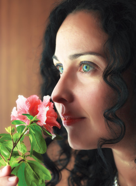 玫瑰和美丽图片下载