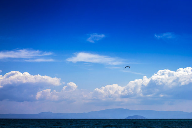 海的背景图片下载