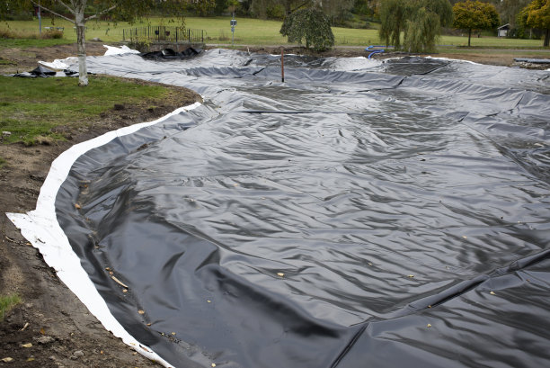 构建水池塘图片下载