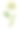 报春花孤立在白色，九轮草，19世纪植物学插图图片下载
