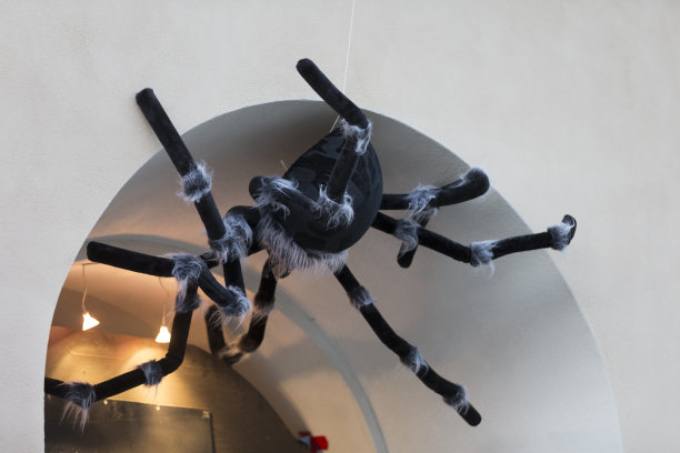 万圣节装饰——圣弗朗西斯科门顶上的蜘蛛图片下载