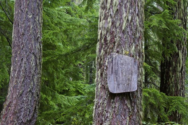杰弗逊山荒野标志图片下载
