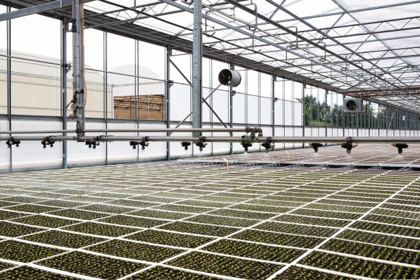 温室农业图片下载