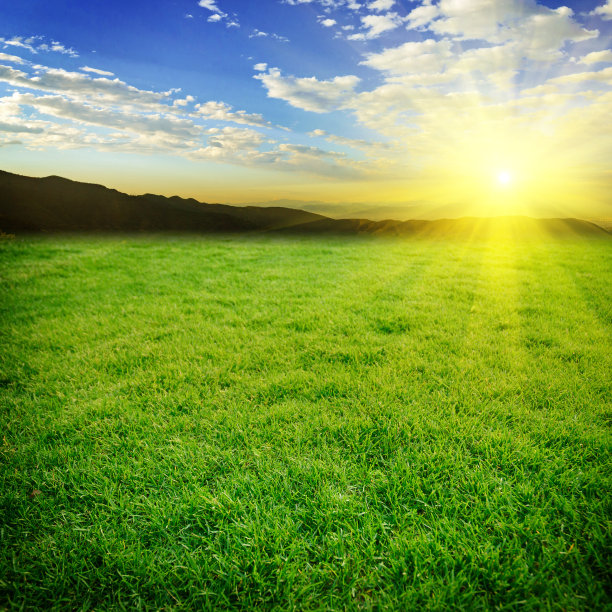 草地和夕阳图片下载