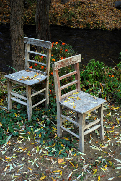 自然界中的开放式座椅图片下载