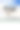 大草原上的非洲金合欢树——清晨图片下载