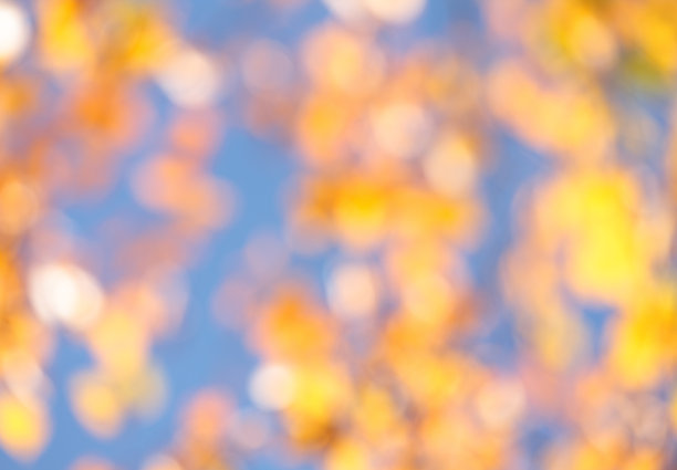 散焦秋天的颜色自然背景-闪闪发光的叶子图片下载
