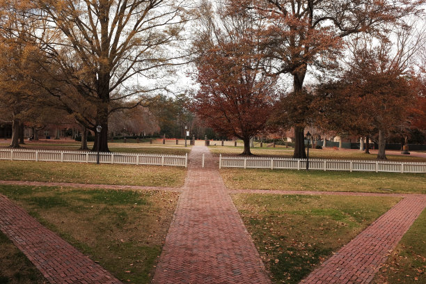 校园的理由图片下载