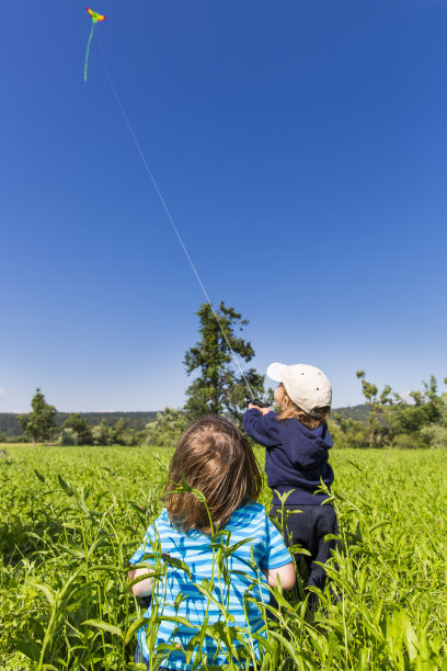 两个小男孩在草地上放他们的玩具风筝图片下载