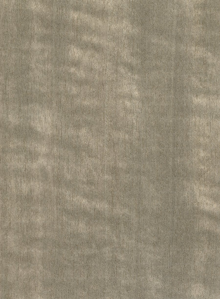 Anegre木图片下载