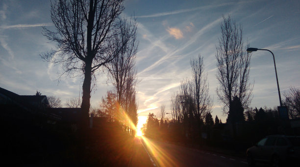 乡间小路上的日出图片下载