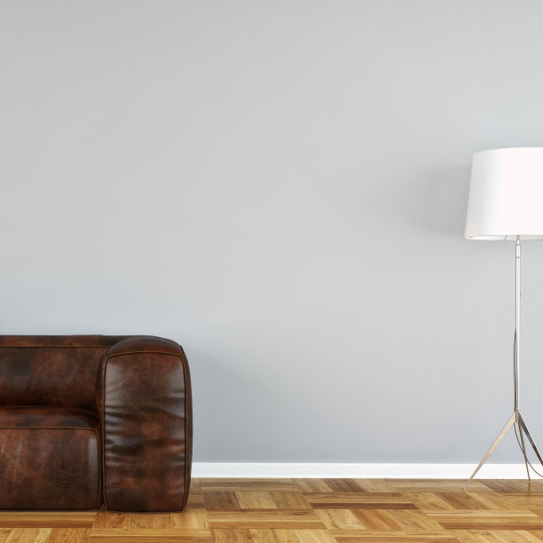 沙发图片素材ID：145538824