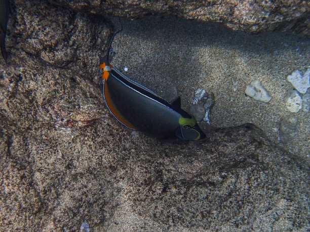 水下的场景素材图片