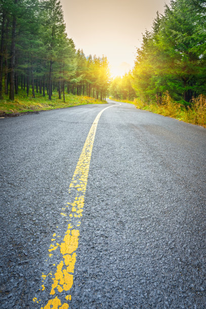 森林中的柏油路图片下载