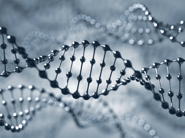 DNA分子xl+图片下载