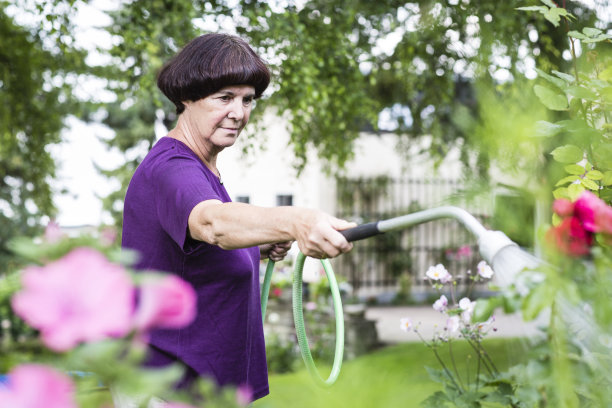 年长妇女照顾花园，浇植物图片下载