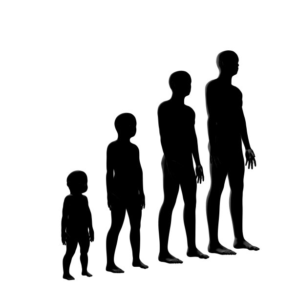 男性的衰老过程图片下载