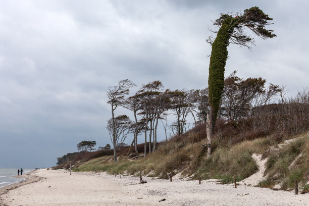 波罗的海沿岸图片下载