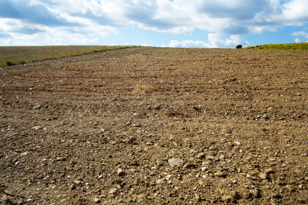 犁地在Tr?s-os-Montes图片下载