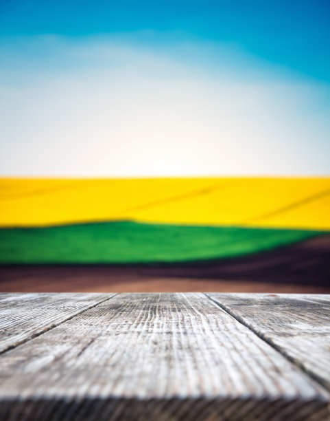 春天的背景图片下载