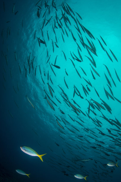 旋转的东西图片下载