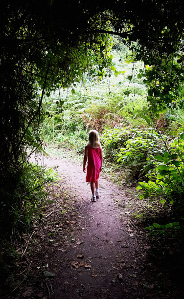 小女孩走到阳光下，周围是树叶图片下载