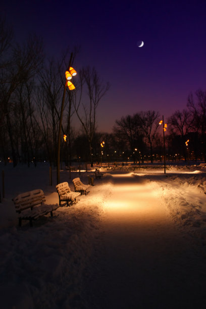 冬夜公园图片下载