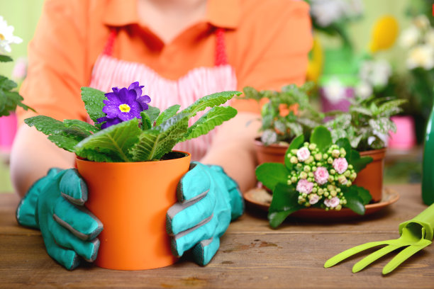 年轻女子种花素材图片