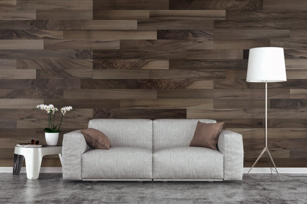 带沙发的客厅图片下载