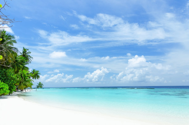 海边图片素材ID：145589980