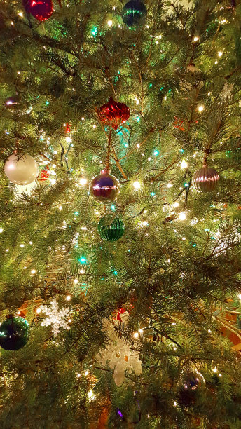 圣诞树魔术近距离图片下载