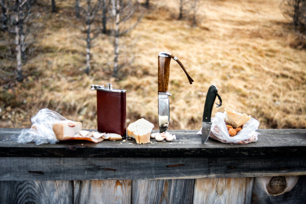 在树林里吃饭图片下载